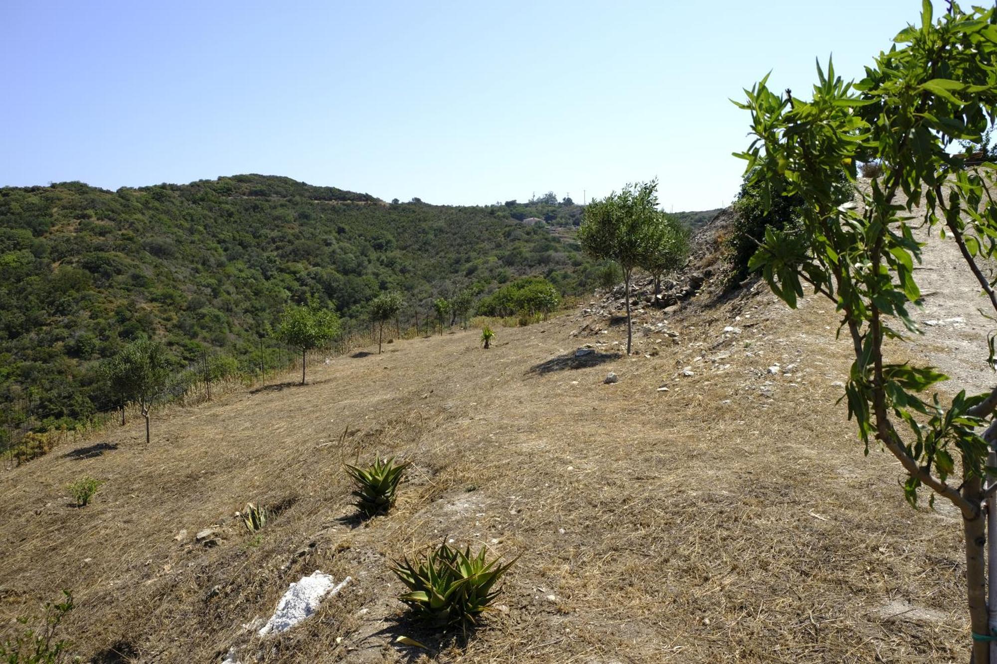 Potamos  Hill'S Barbacane מראה חיצוני תמונה